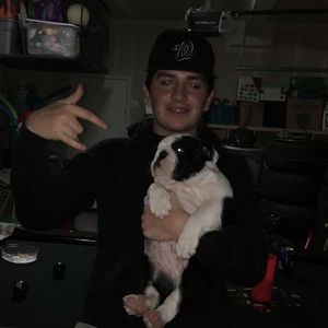 Meet your Posher, Josh